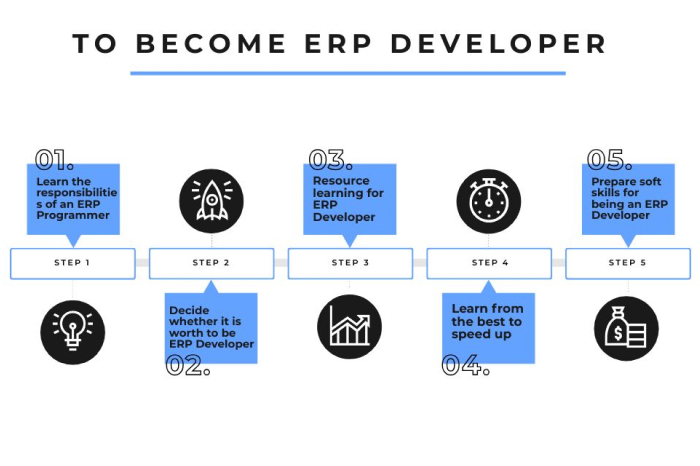How-to-become-expert-ERP-developers-map(2)
