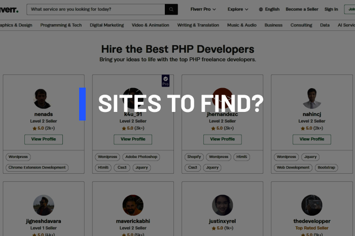 Hire-Php-Developer-best-sites