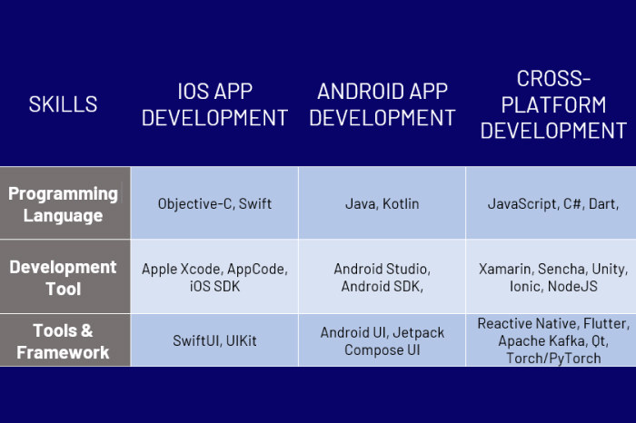 Hire-mobile-app-developer-fast-steady-skill-compare