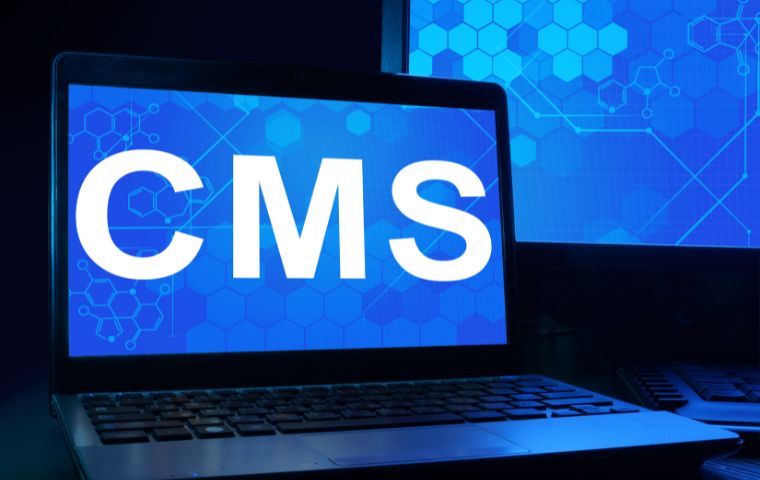 cms-for-ecommerce