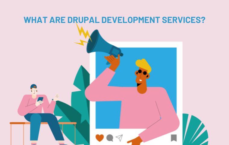 drupal-cms-development-services