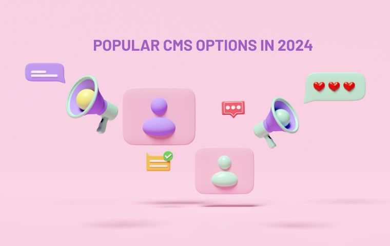 hire-cms-developer