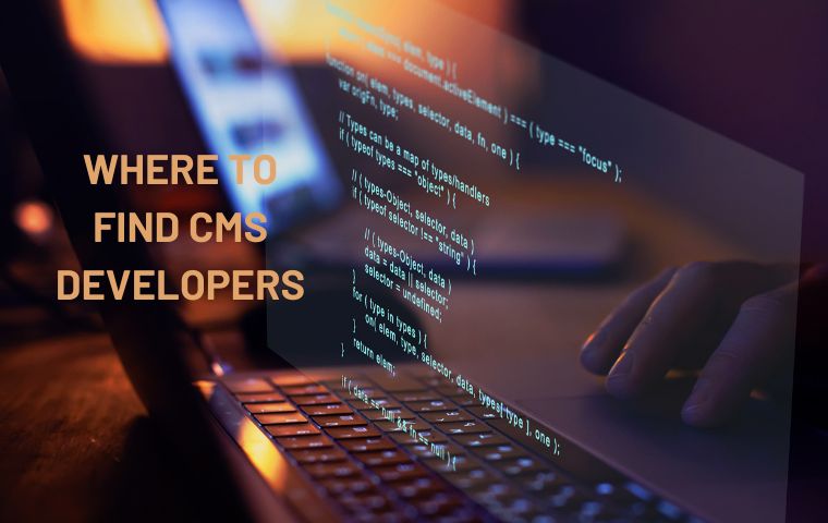 hire-cms-developer