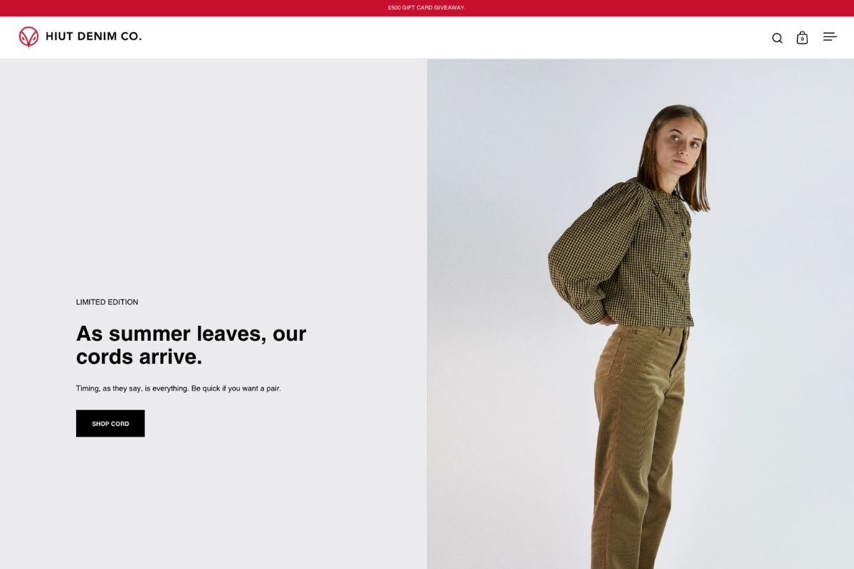 how-to-set-up-shopify-store
