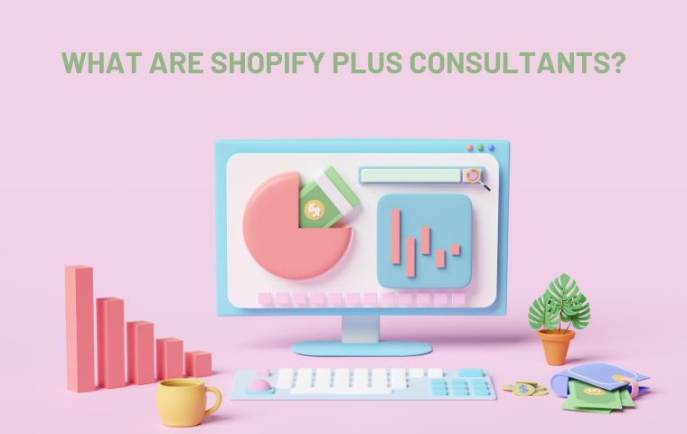 shopify-plus-consultants
