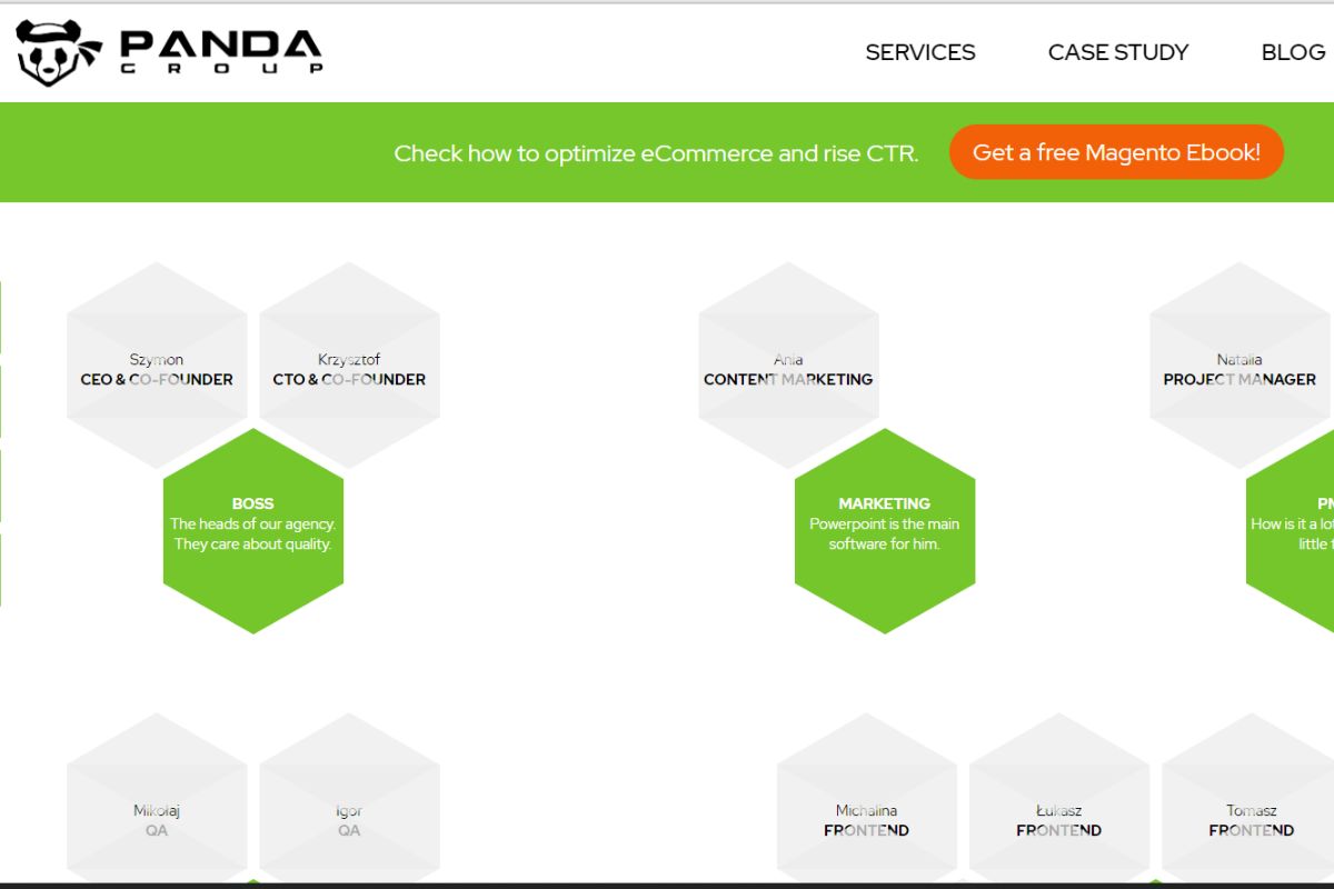 magento-consulting